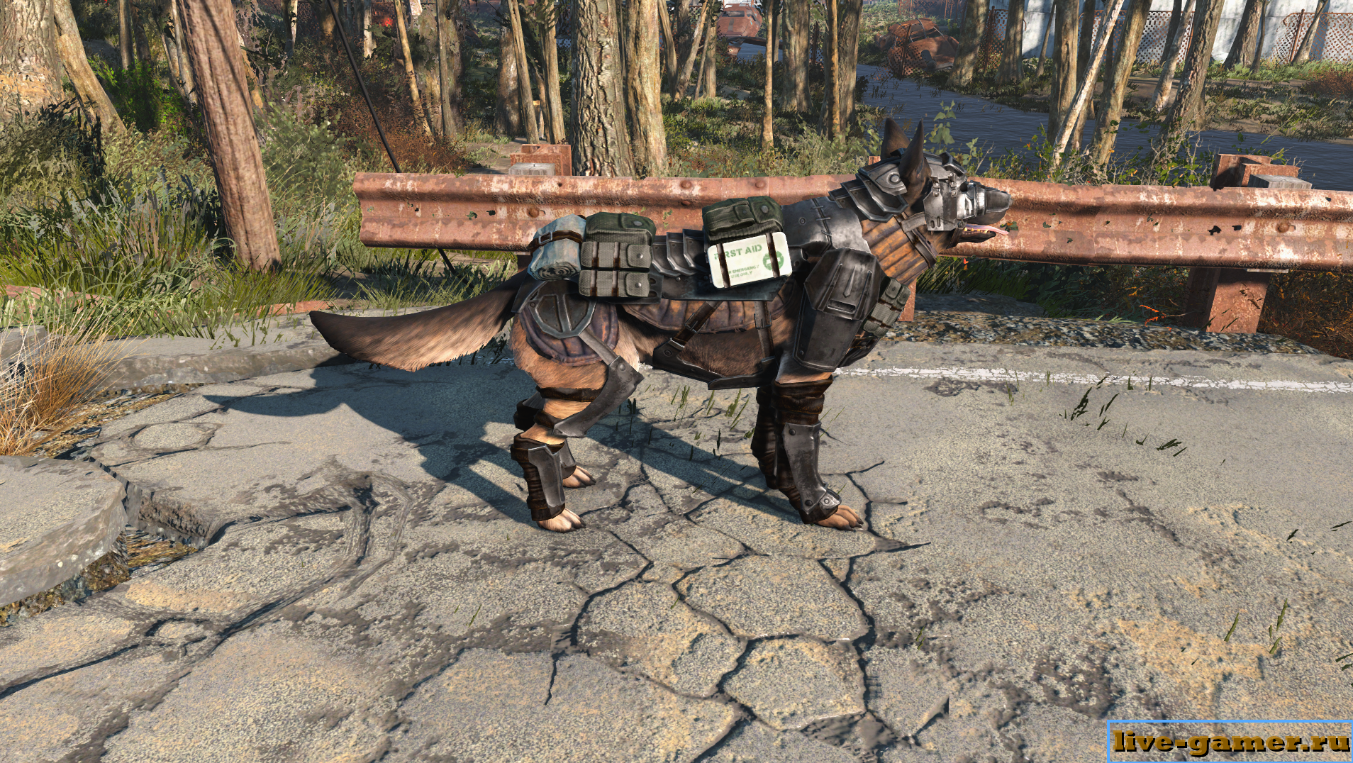 Fallout 4 броня для собаки - как ее надеть